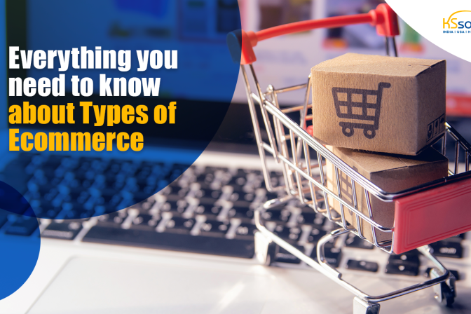 Everything you need to know about Types of Ecommerce