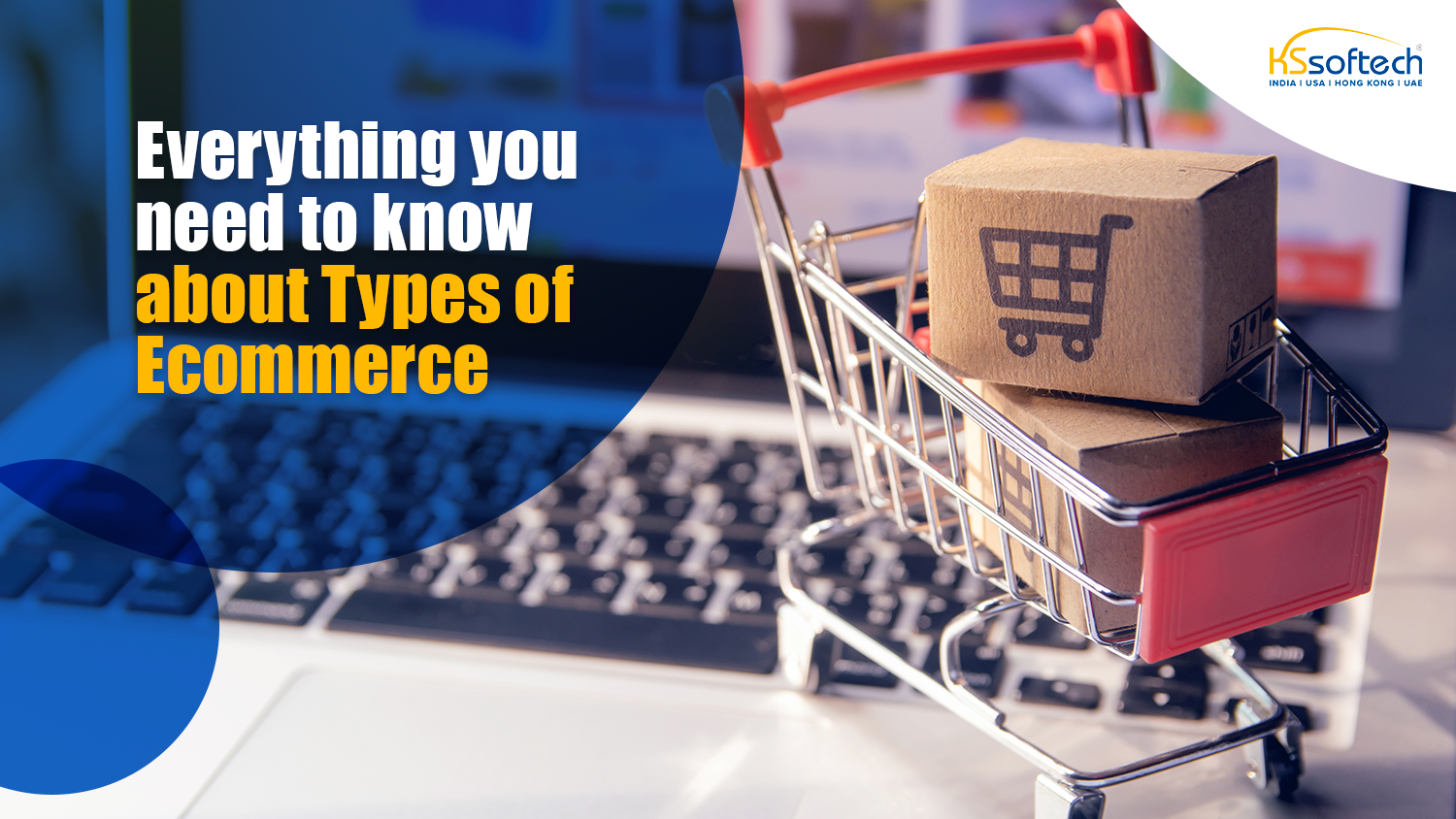 Everything you need to know about Types of Ecommerce